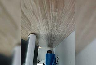 Kisa75 Cam